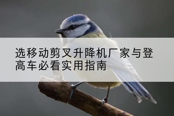 仪陇电动升降机厂家-选移动剪叉升降机厂家与登高车必看实用指南
