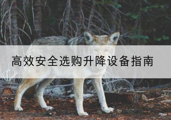 仪陇升降货梯厂家推荐-*安全选购升降设备指南