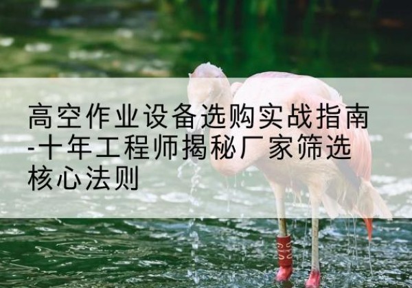 仪陇剪叉式升降机厂家-高空作业设备选购实战指南-十年工程师揭秘厂家筛选核心法则